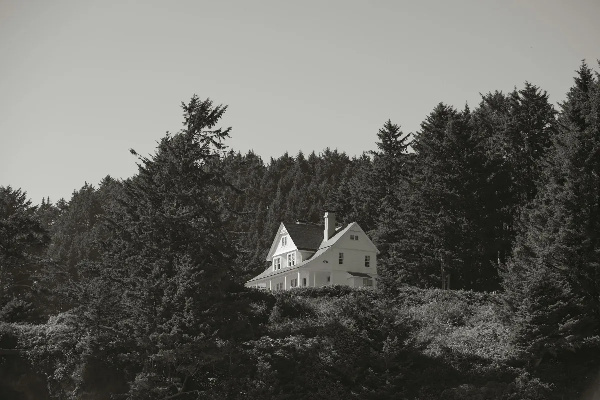 Maison des Pins — volume among the trees