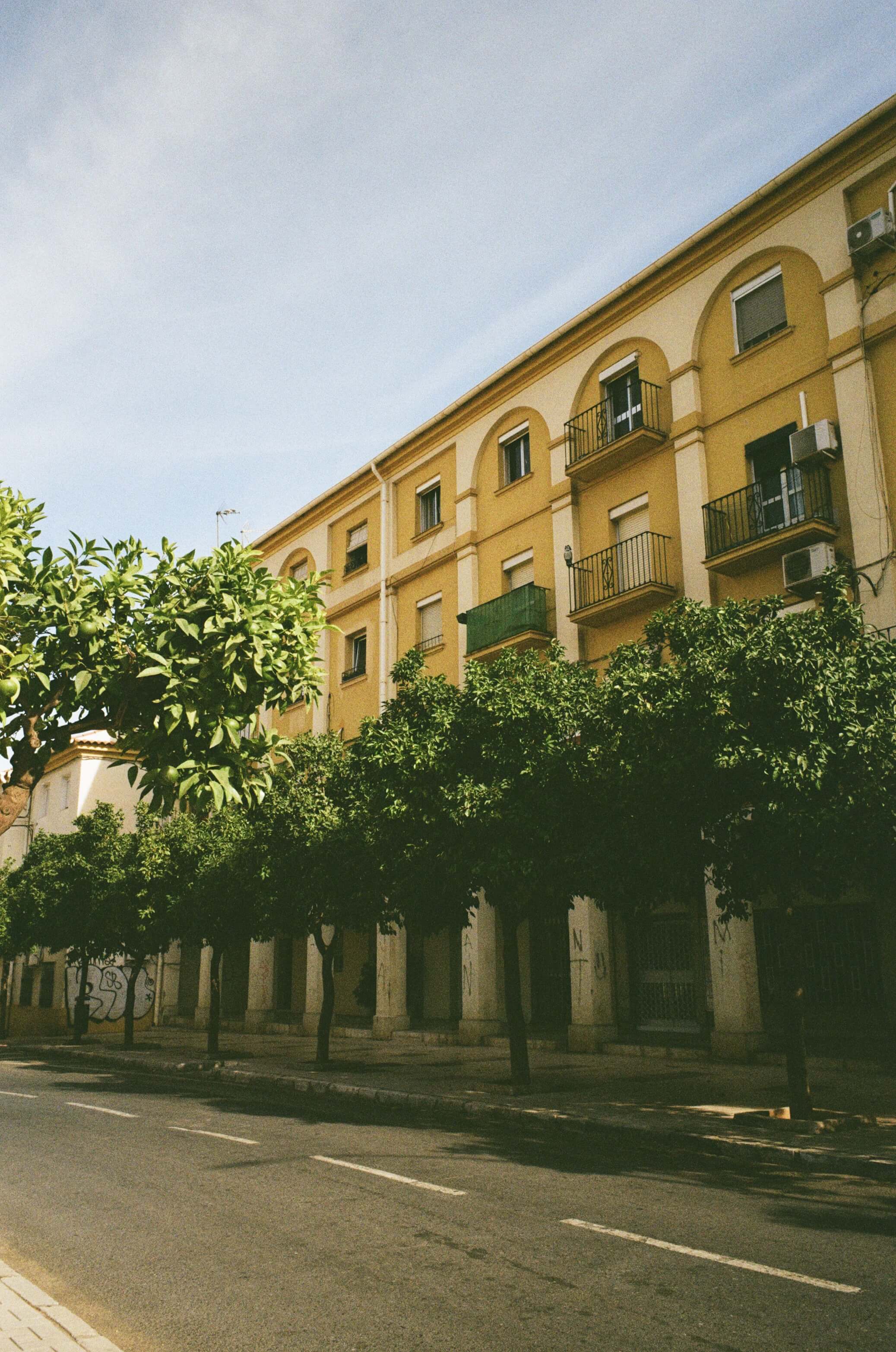 A yellow apartment block behind a row of trimmed street trees.