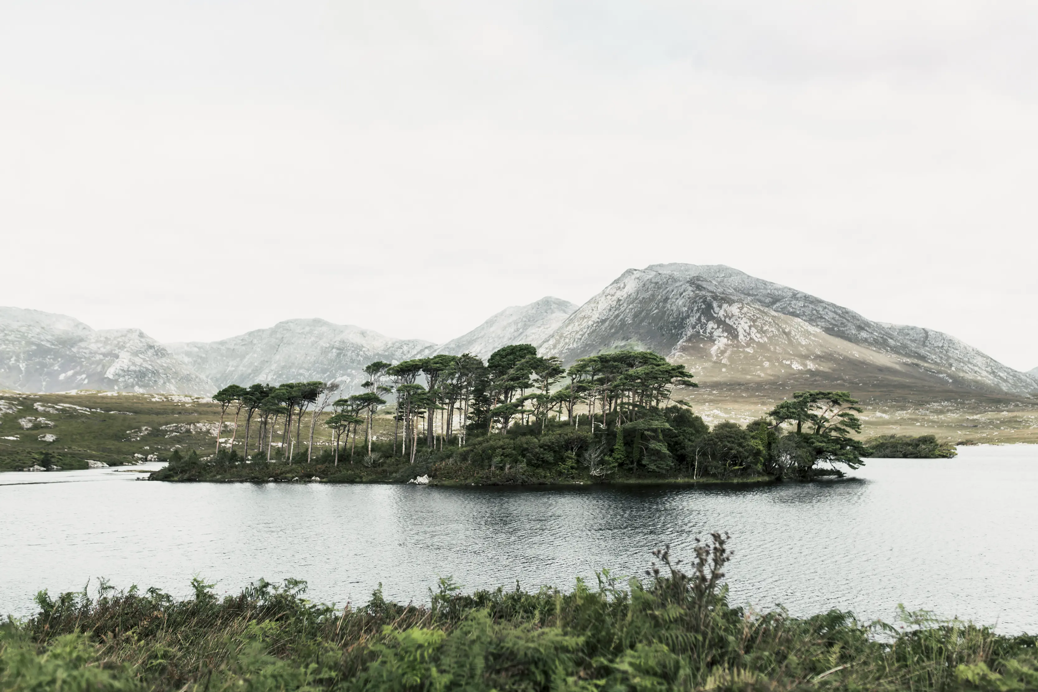 Hibernicis Connemara