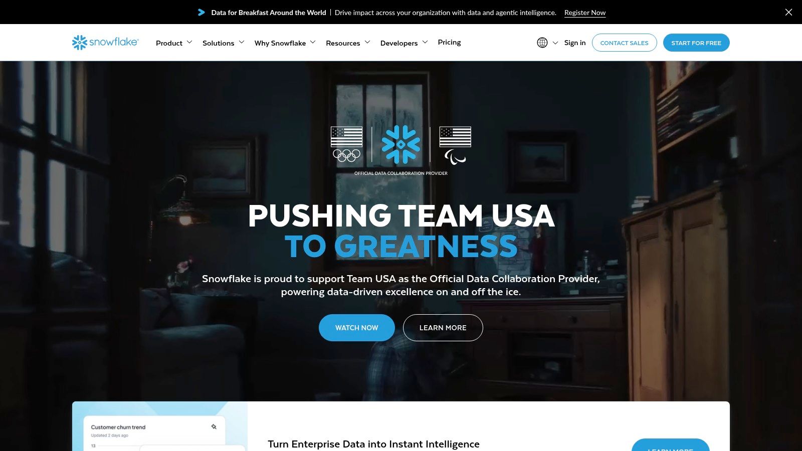 Snowflake (Snowflake Cortex)