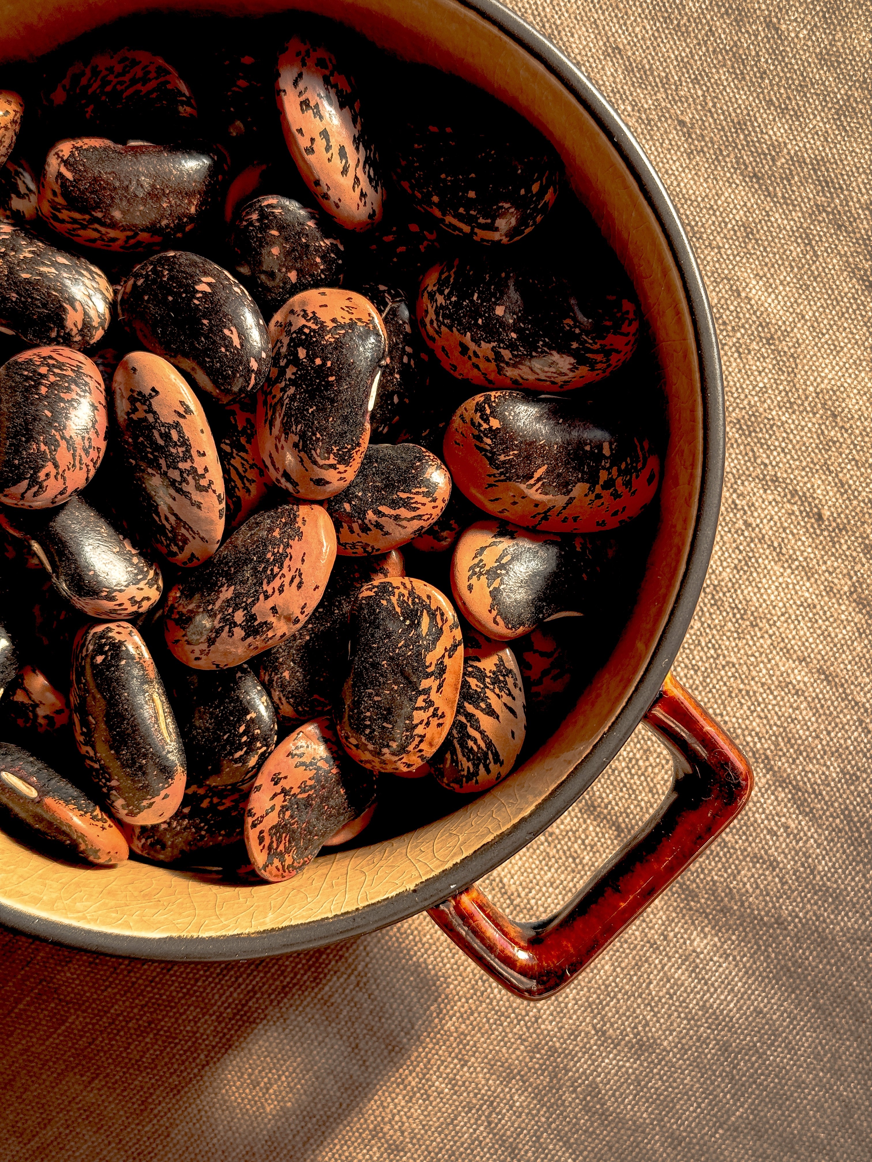 Luxurious Coastal Living