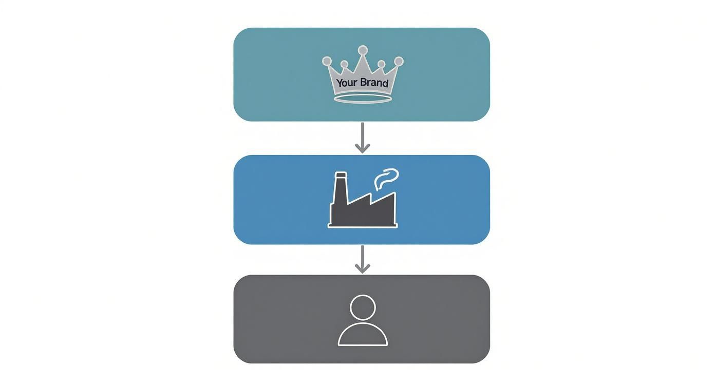 Infographic about private labeling manufacturers