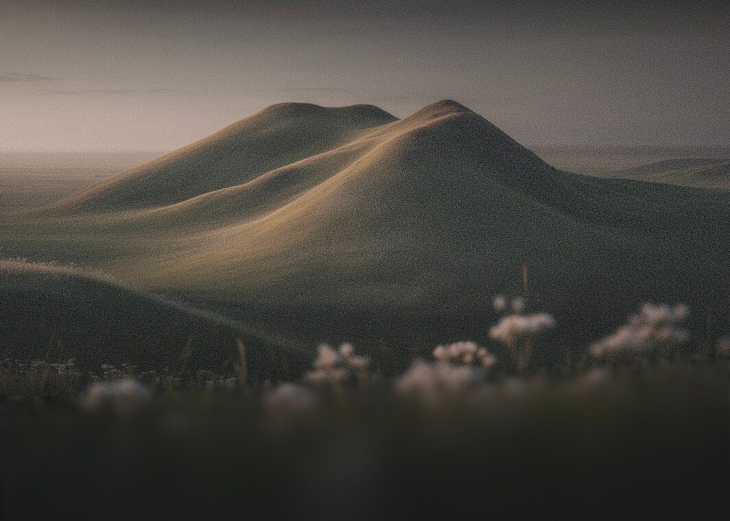 Customer testimonial