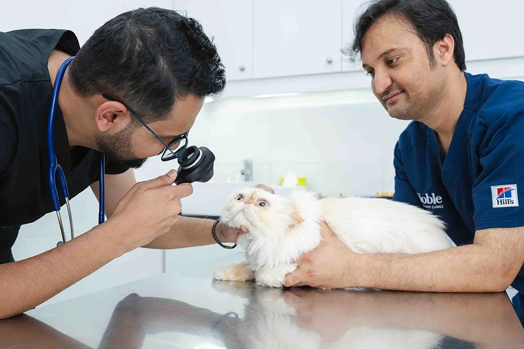 Dr. Ahmed brings nearly 11 years of dedicated clinical experience to our team