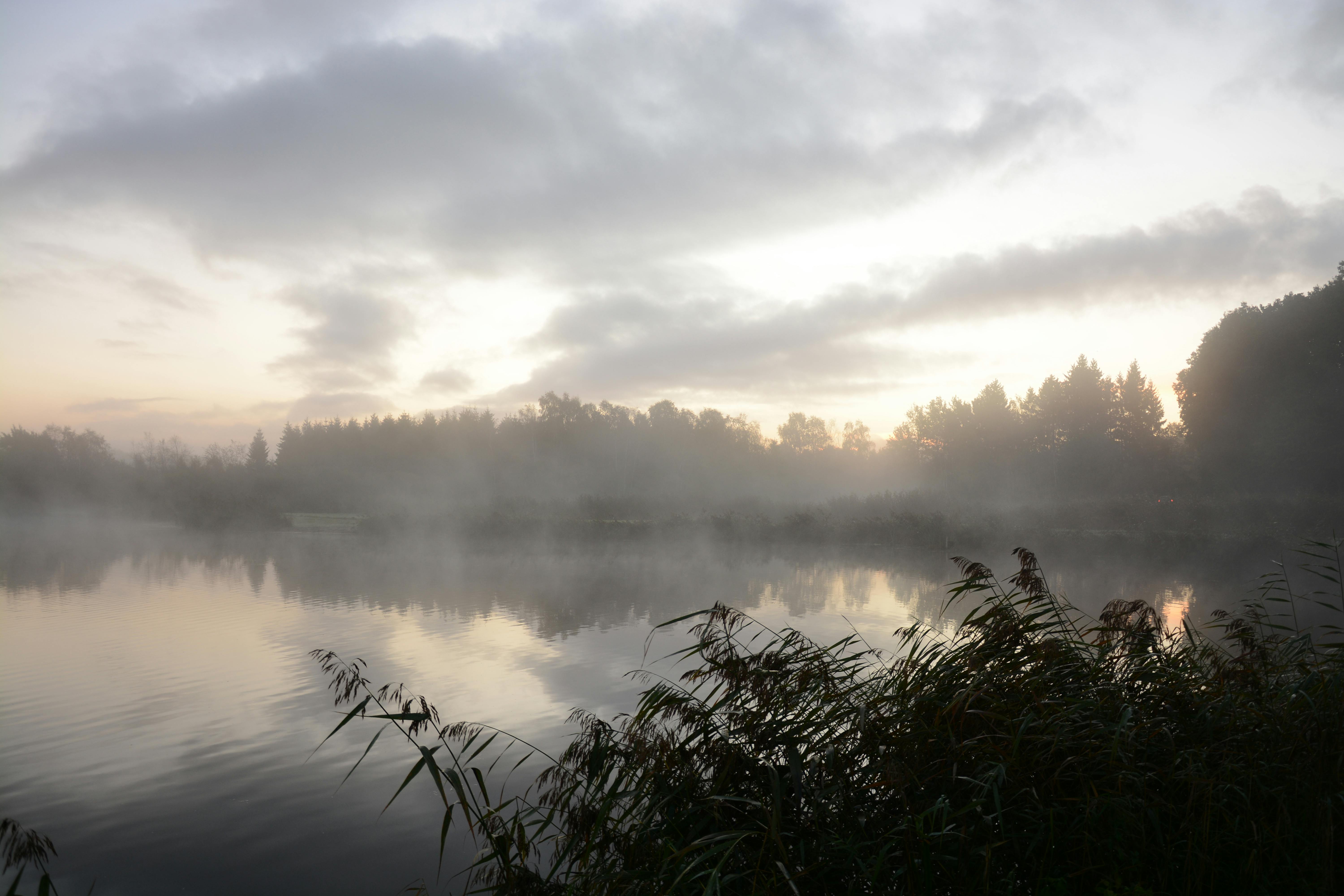 sunrise over a foggy lake