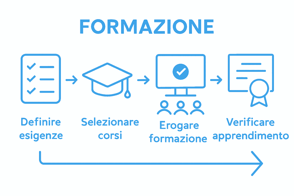 Infografica sulle principali fasi del percorso formativo