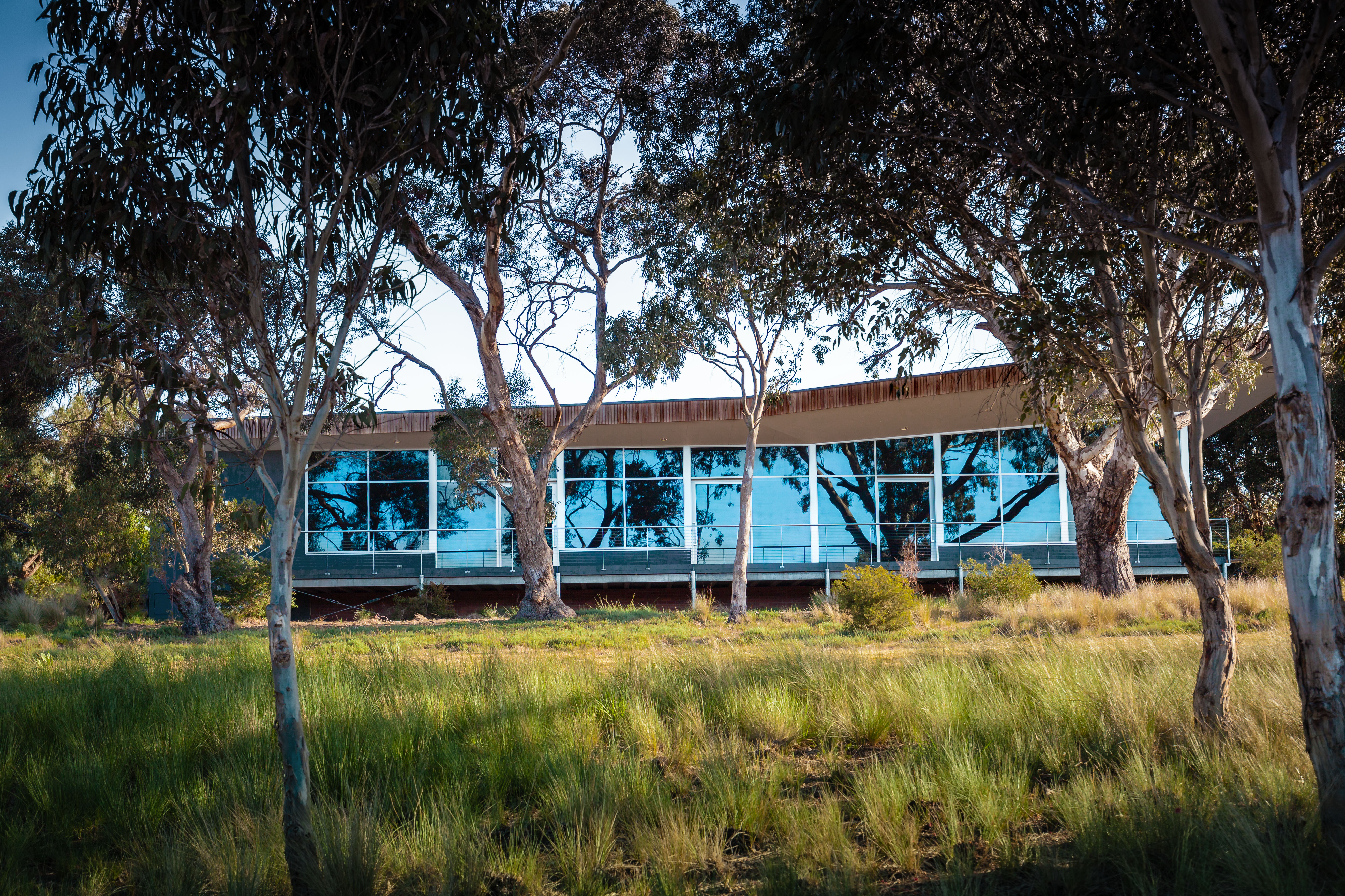 Geometric wooden wall panels with angled shapes and warm highlights.