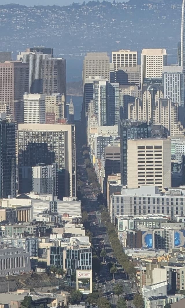 M's picture, link to profile