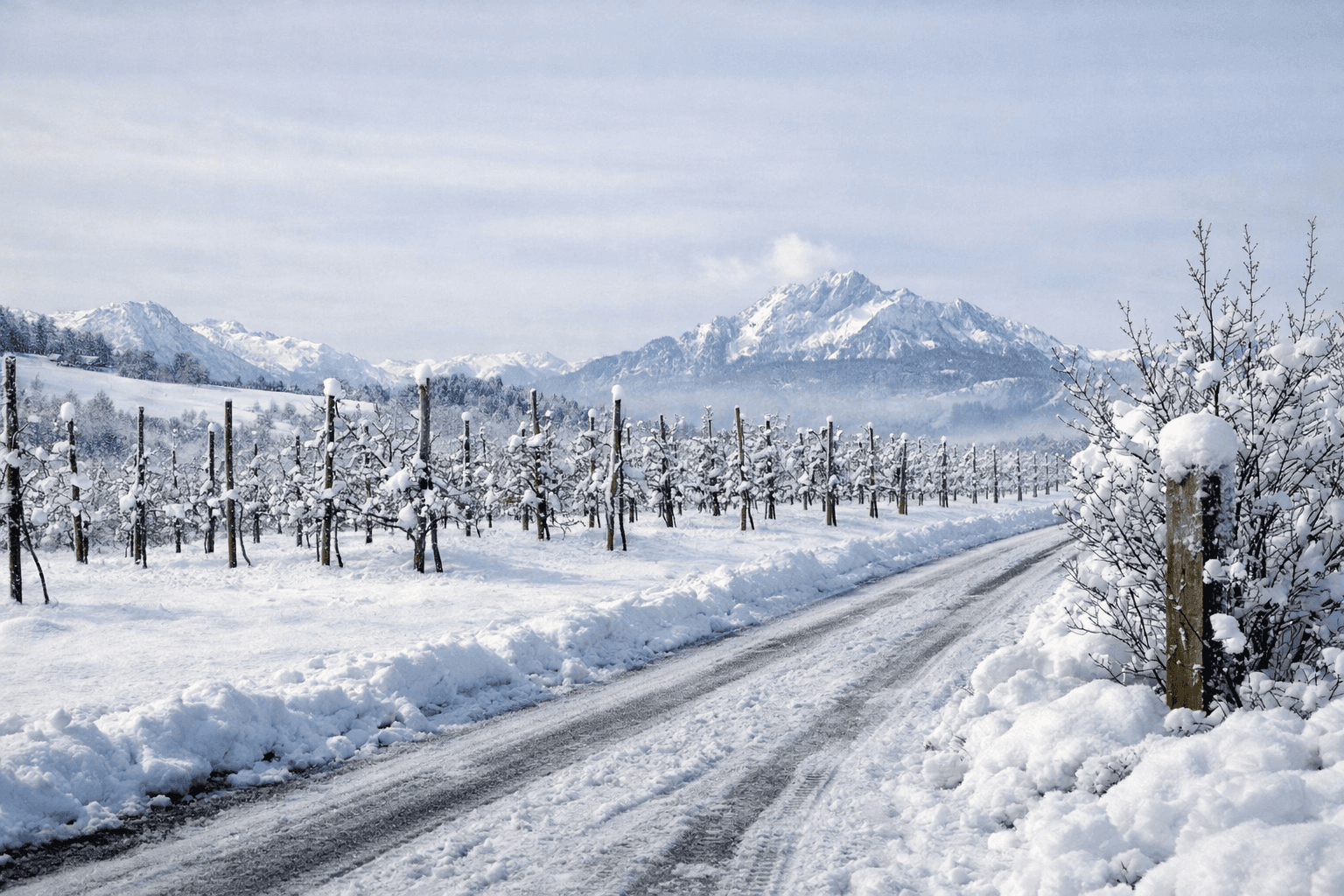 Ausblick auf unsere Felder und den Pilatus im Winter