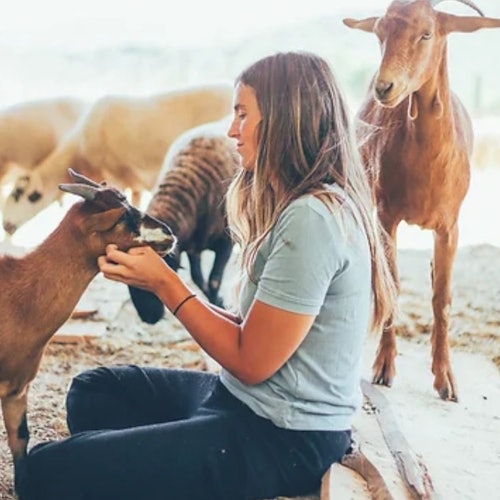 Fundación de la Reserva Forestal Salvaje