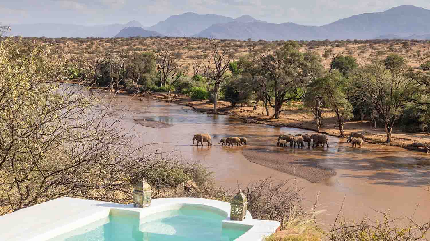 Elefantenherde im Fluss in der Savanne. Blick von einem Pool auf die Tiere, Bäume und Berge im Hintergrund.