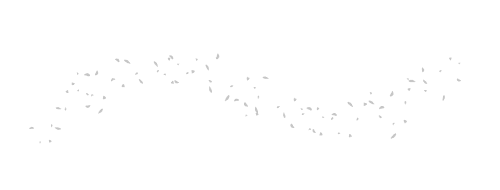 Poorman's Particles
