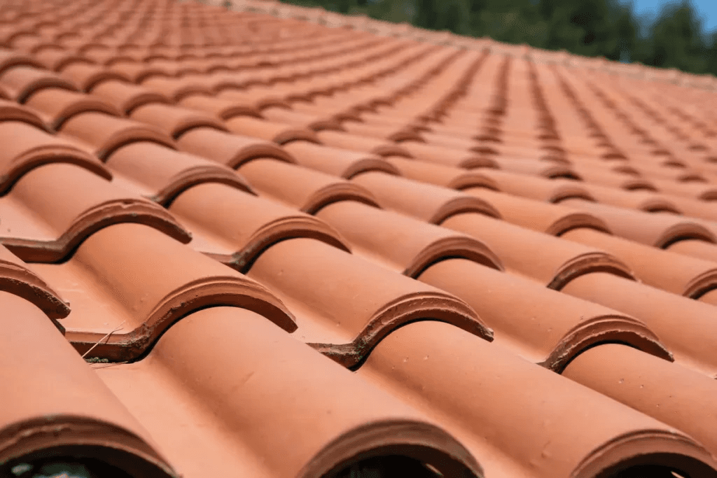 Close-up of a terracotta roof with curved tiles, illustrating a pattern against a backdrop of greenery.