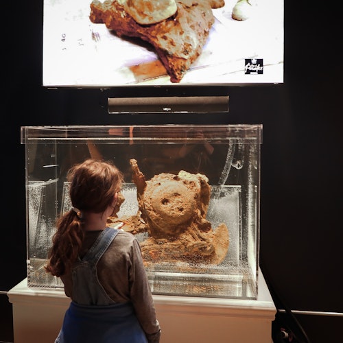 真正的海盗塞勒姆：塞勒姆入场票