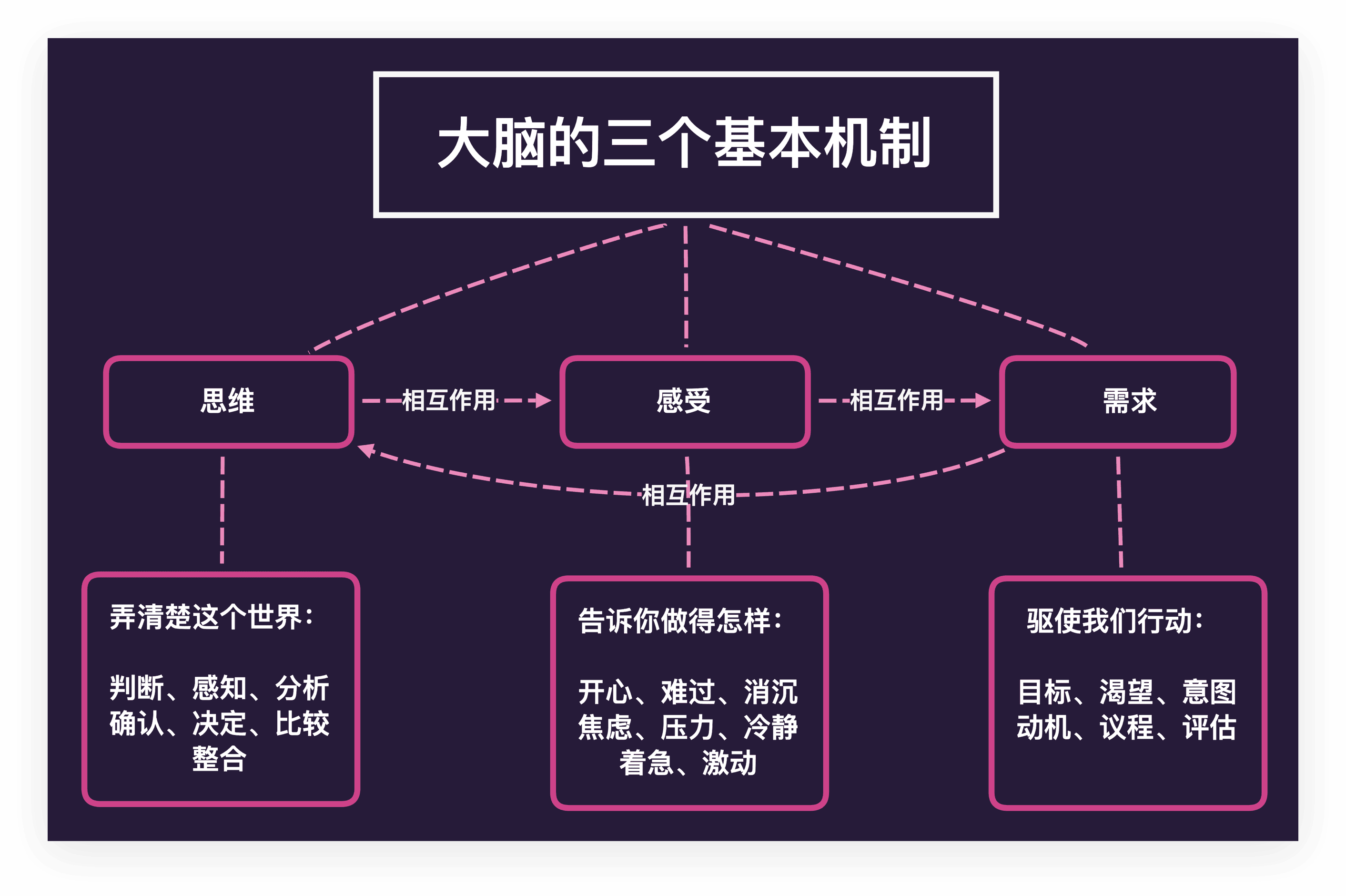 大脑基本机制思维导图
