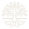 Tree with roots icon