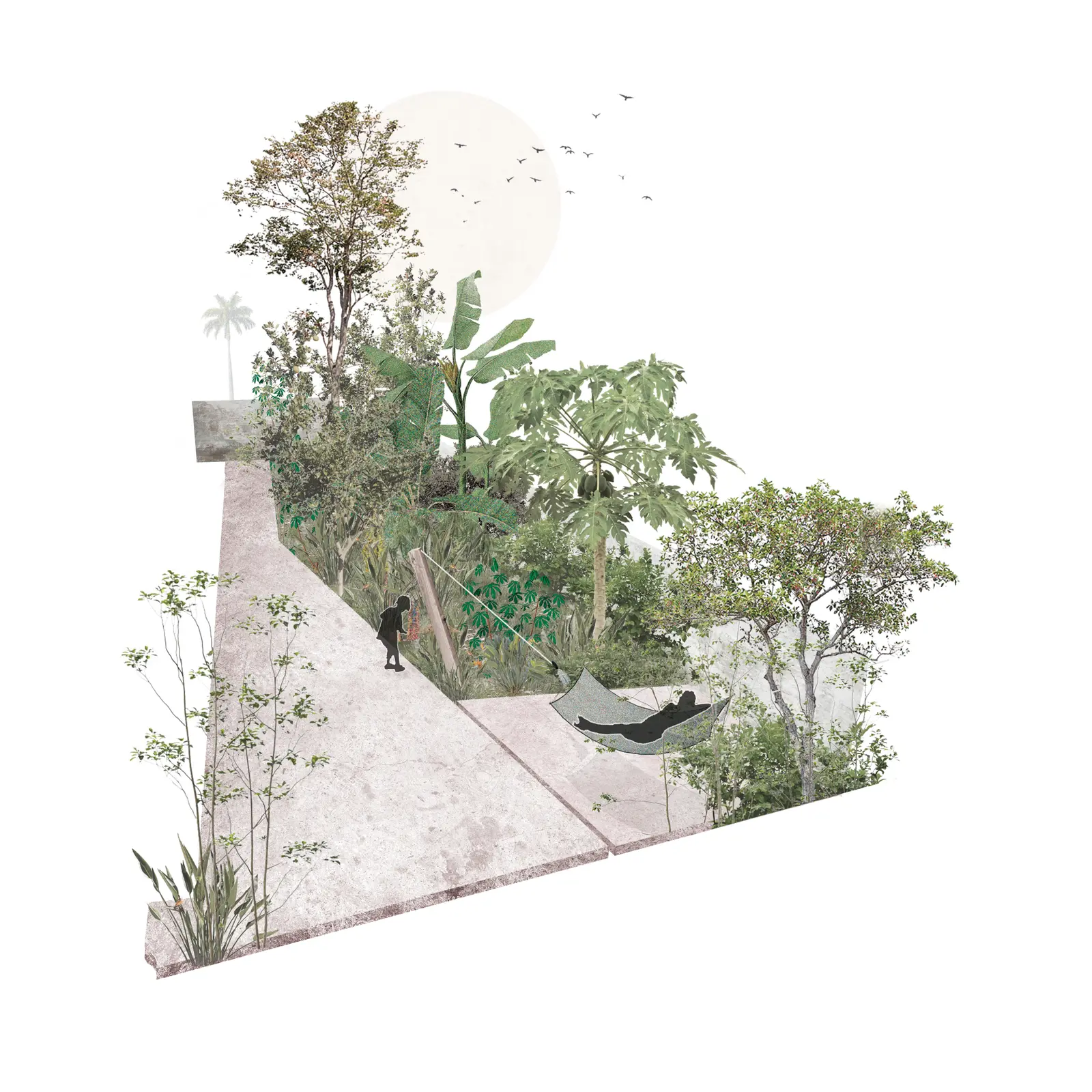 A triangular patch of earth features various green plants and trees, blending seamlessly with a white background.