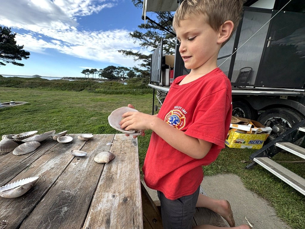 Sorting the cockle haul at our campsite table in Crescent City