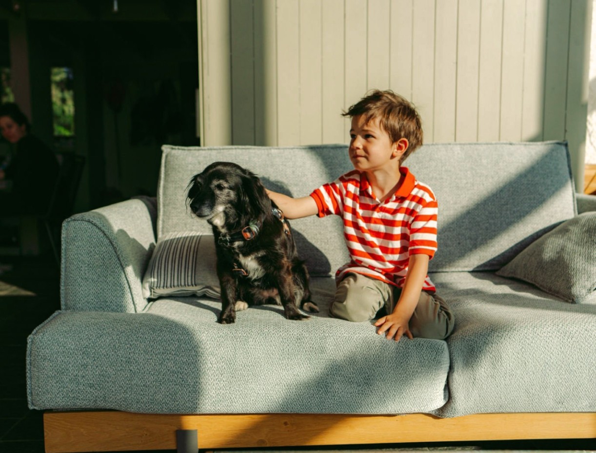 Een kind zit op een bank en aait zachtjes een zwarte hond in een met zonlicht gevulde kamer.