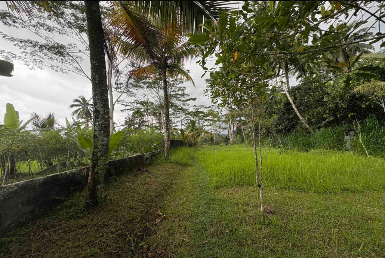 Land plot 4,000 m² in Buahan, Ubud area, Leasehold