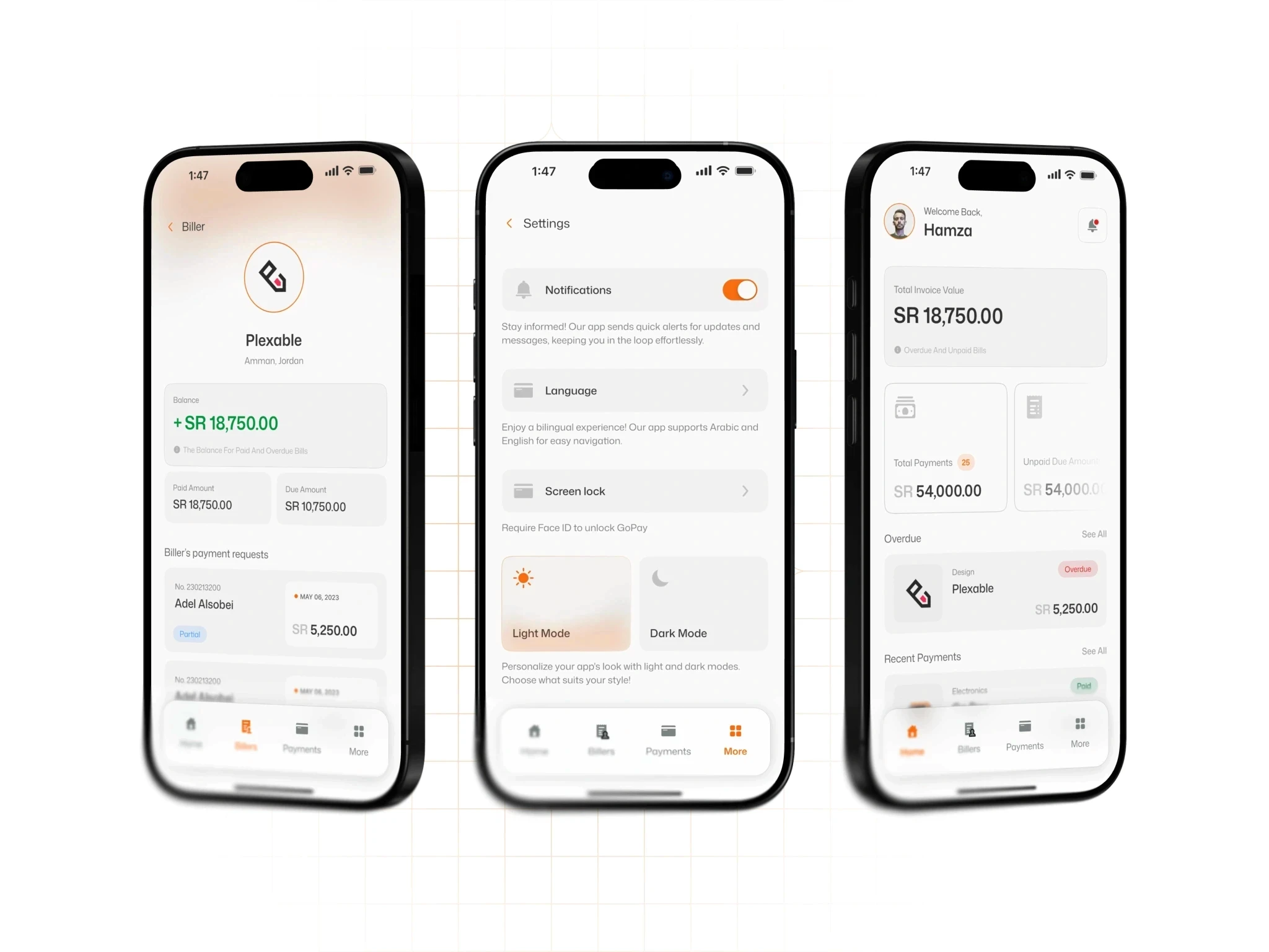 GoPay — Adaptive Visual Modes visual 20
