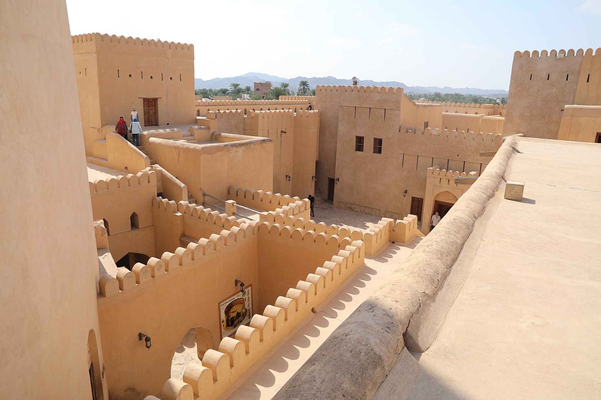 a tree with pink flowers in front of a store