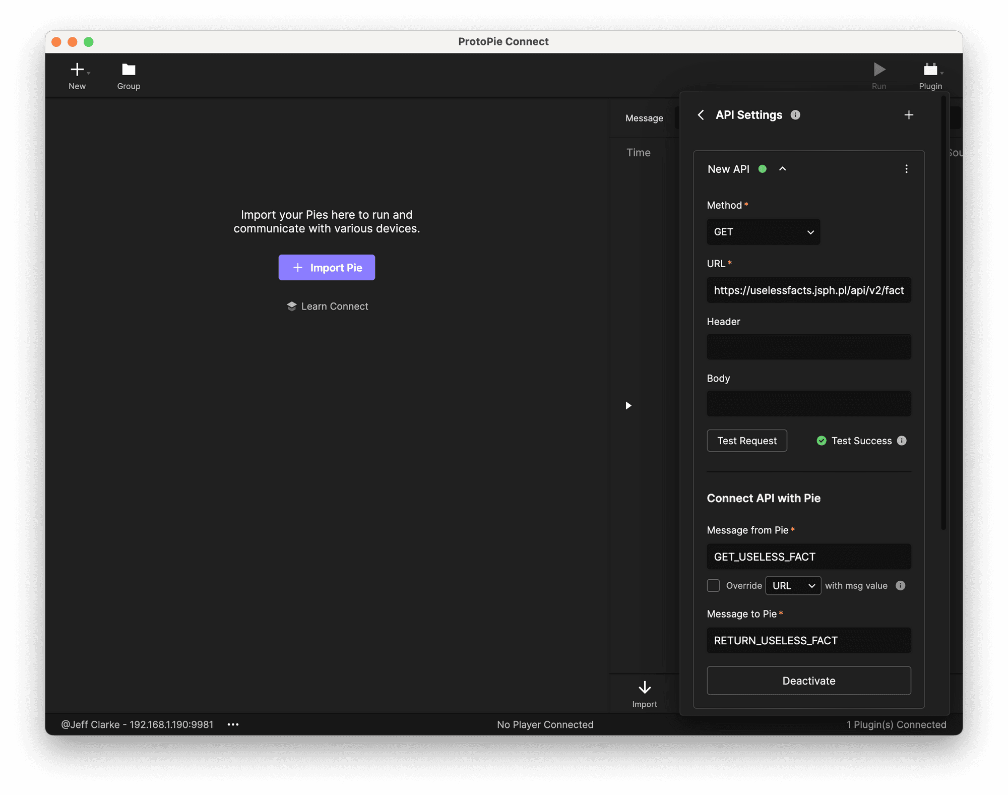 The API plugin is configured and ready to use!