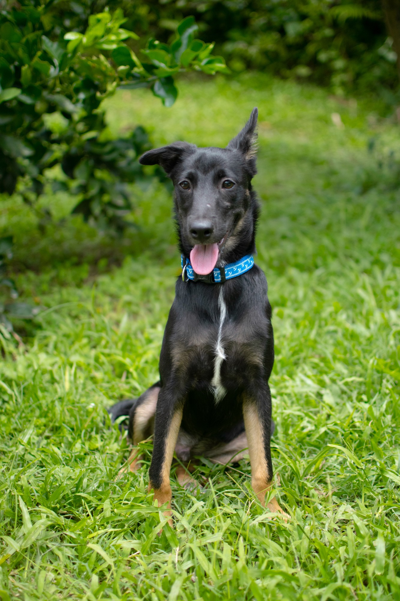 a black female model