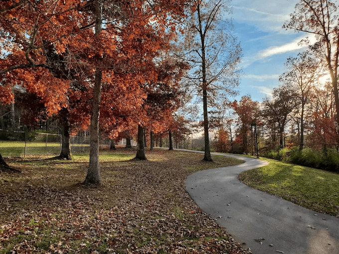 We Rock the Spectrum – Triad, North Carolina