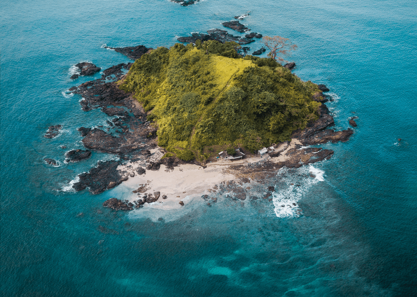 Small green island with rocky shores surrounded by turquoise ocean.
