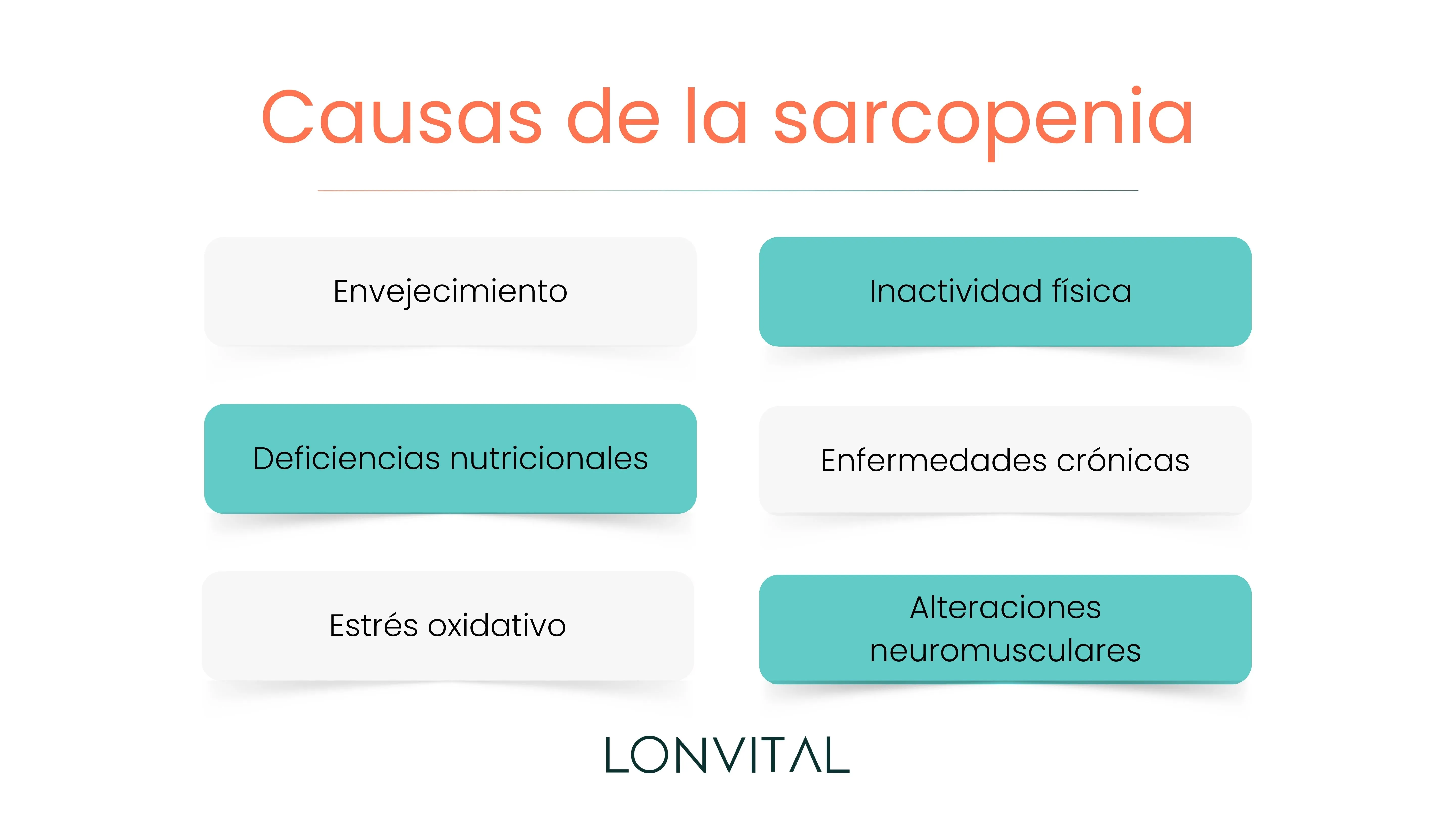 Causas de la sarcopenia