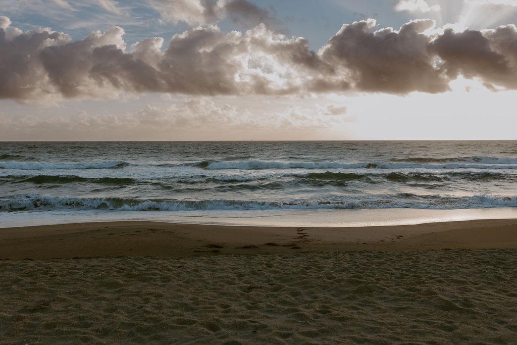 aerial shot of forest