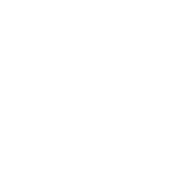 Line drawing of a globe, showing continents and lines representing latitude and longitude.