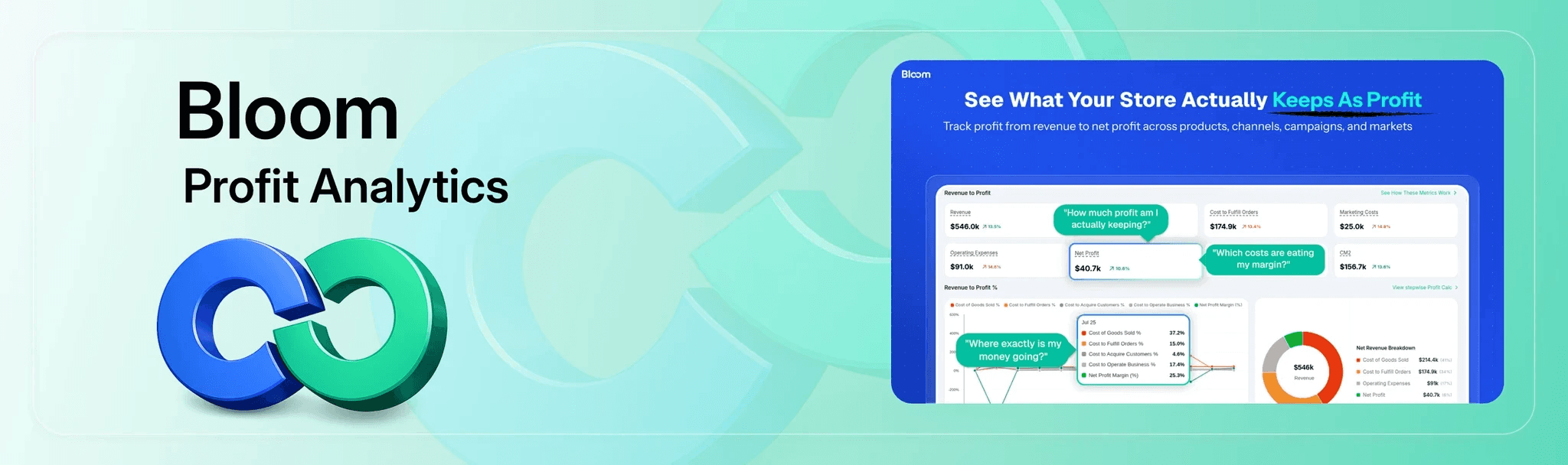 Bloom Shopify Analytics Tools