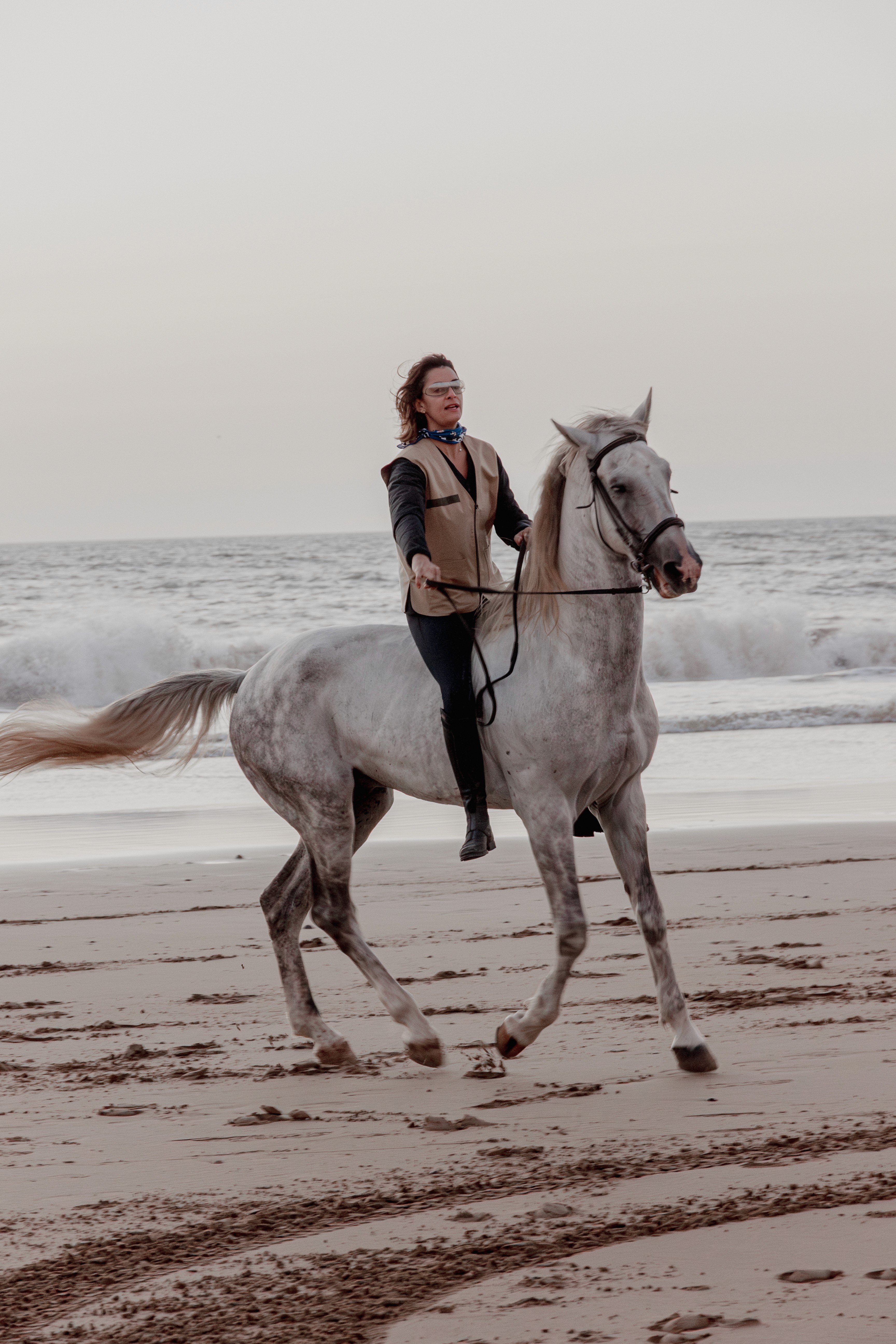 Horse retreat