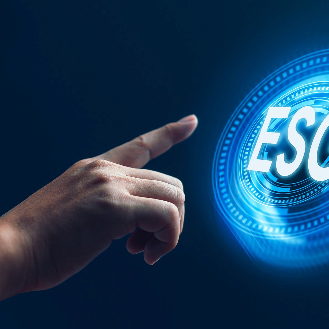 ESG