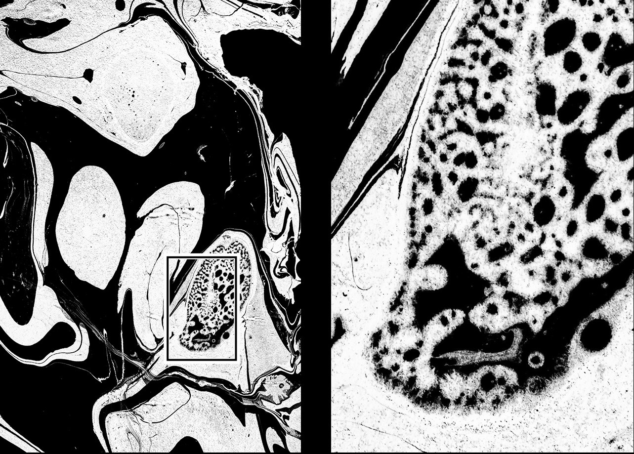 Marmor abstract marble textures close up showing high resolution macro details and realistic ink bubble patterns