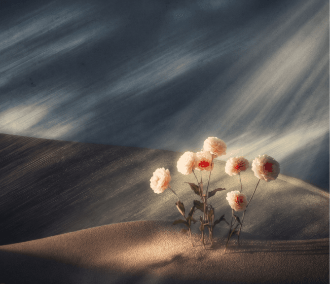 Blog cover image