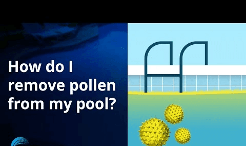 Why Does Pollen Keep Coming Back to Your Pool