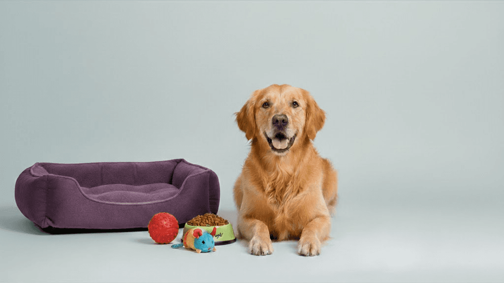 Picture with the pet goods