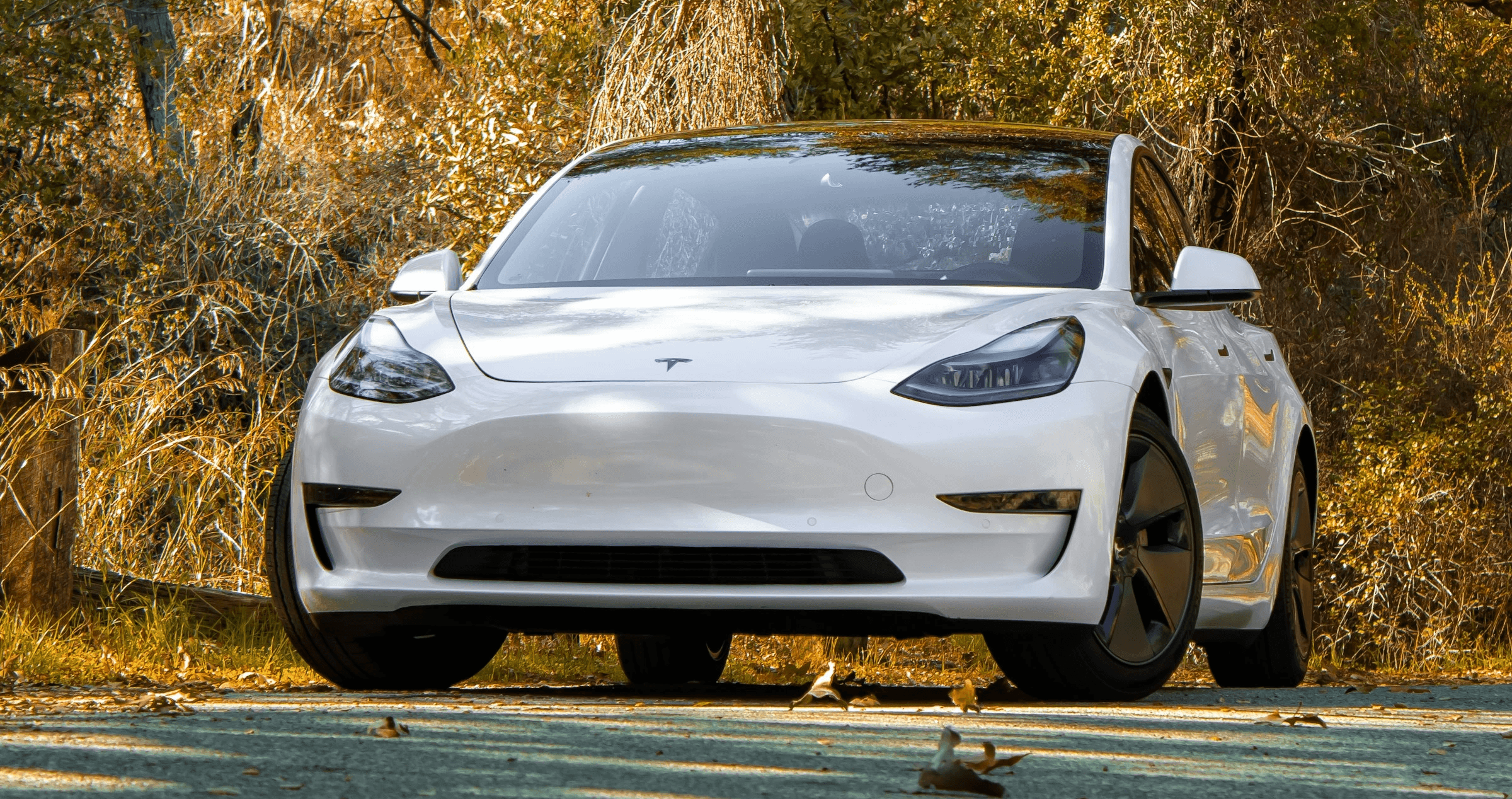 Tesla Model 3 blanche dans un environnement naturel, berline électrique vue de face sous des arbres dorés