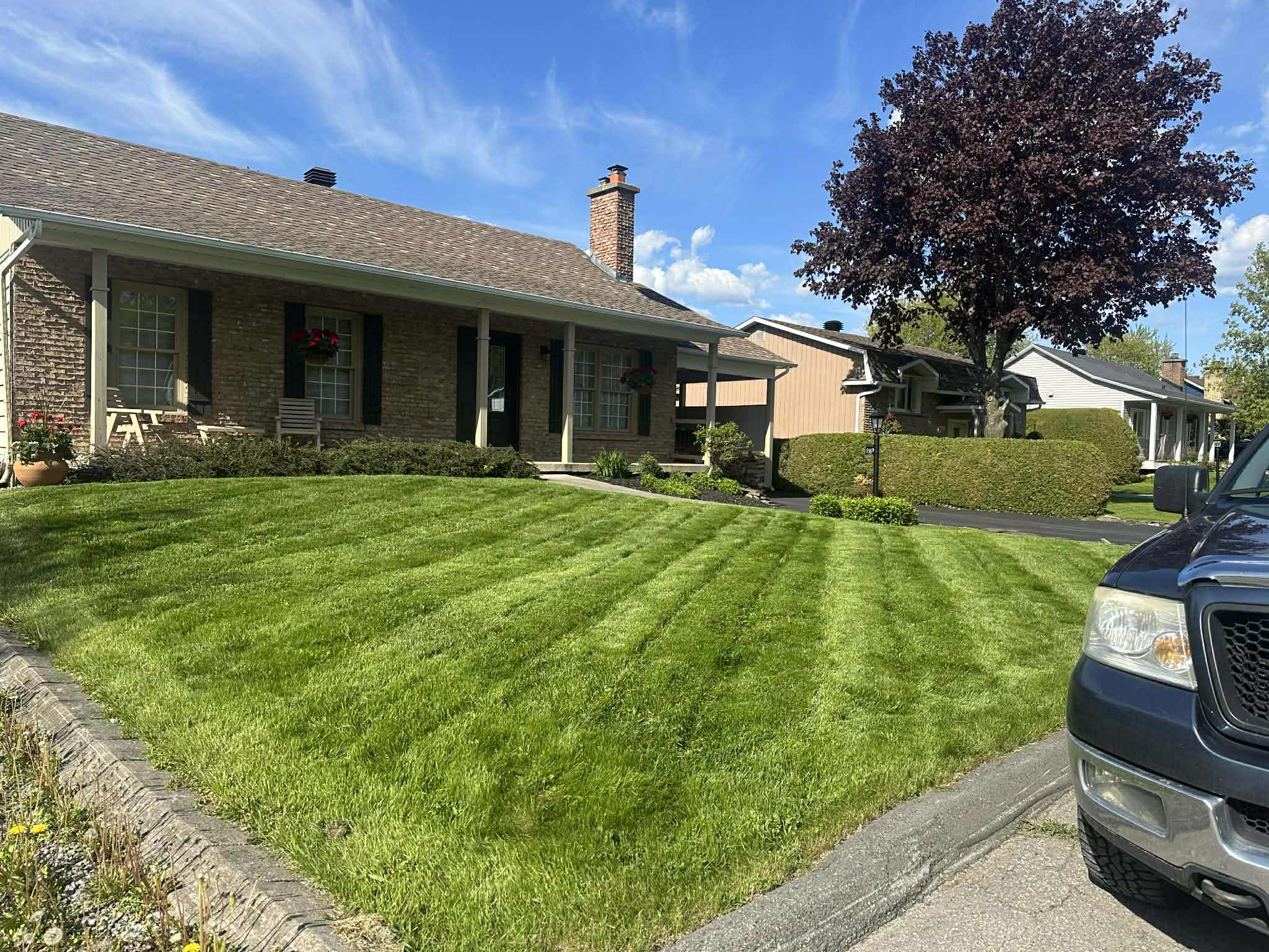 Image Representing the service