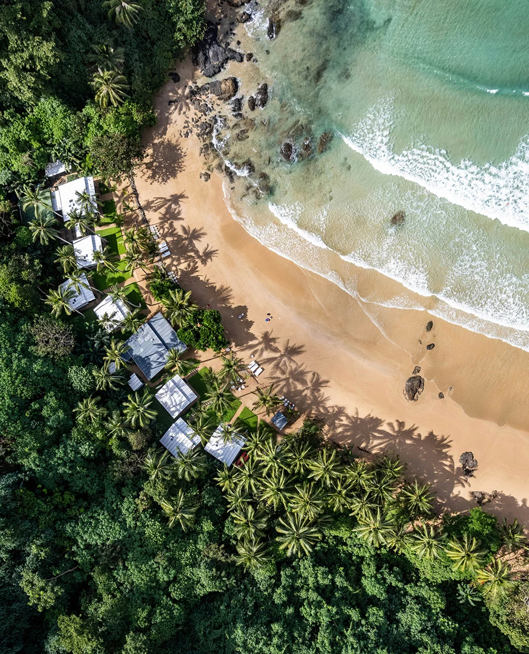 Aerial view of beachfront bungalows surrounded by palm trees and direct beach access.