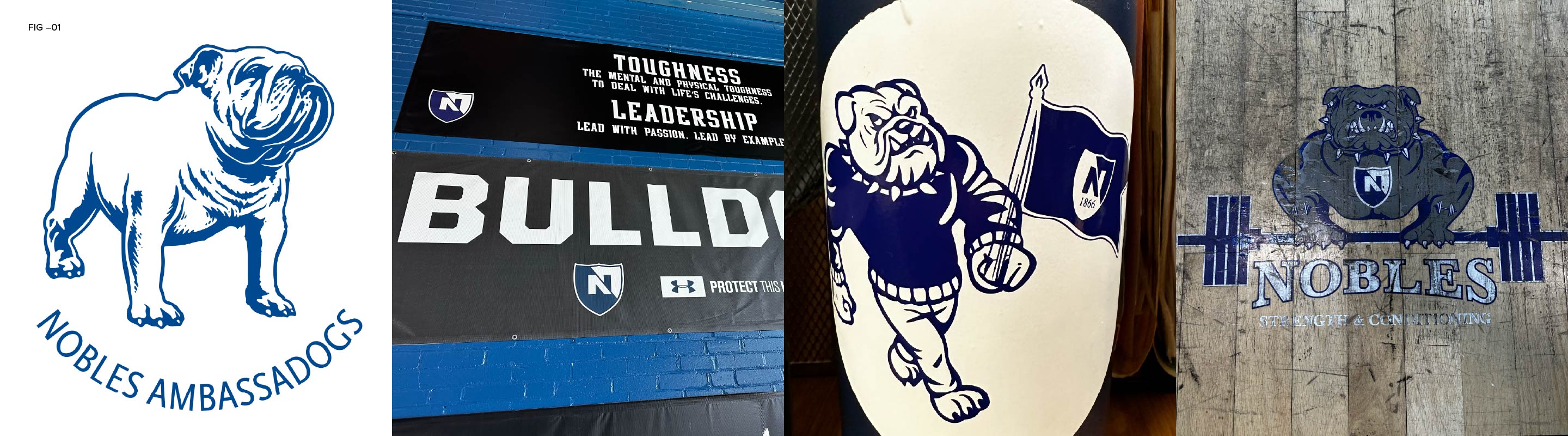 Nobles Athletics current bulldog iterations that are disunified with style, type and color.