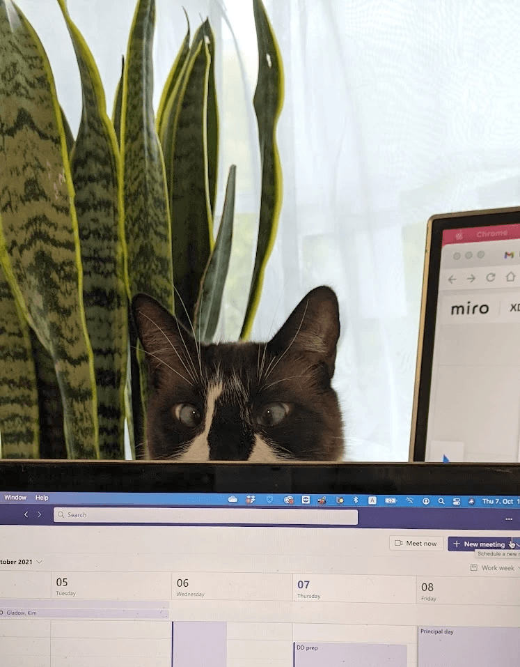 Nigel in his typical WFH position