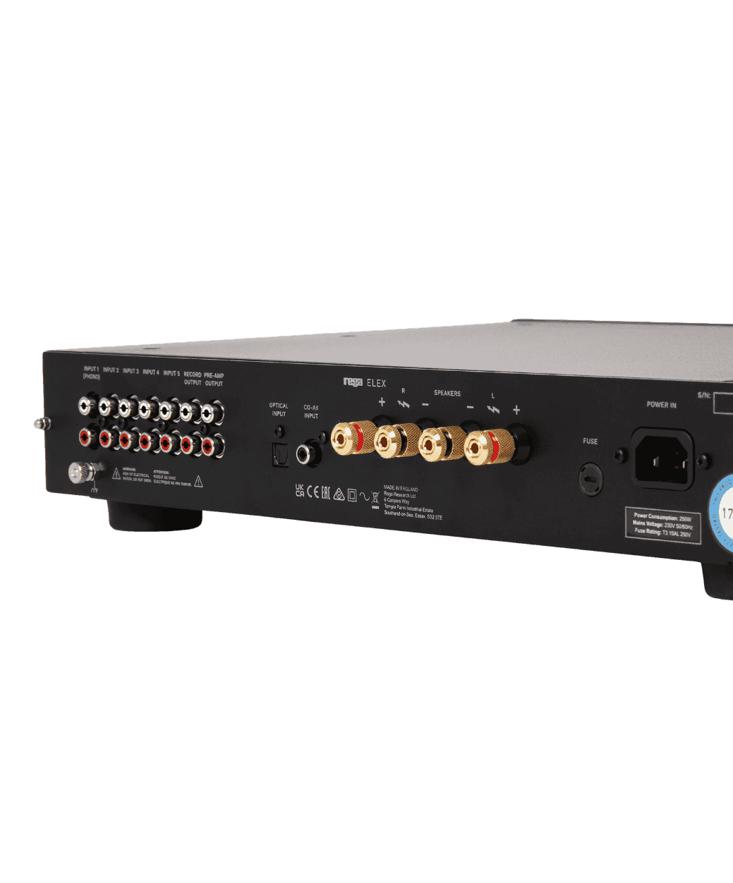 Rega Elex MK4 Back zoom - LE STUDIO HIFI 