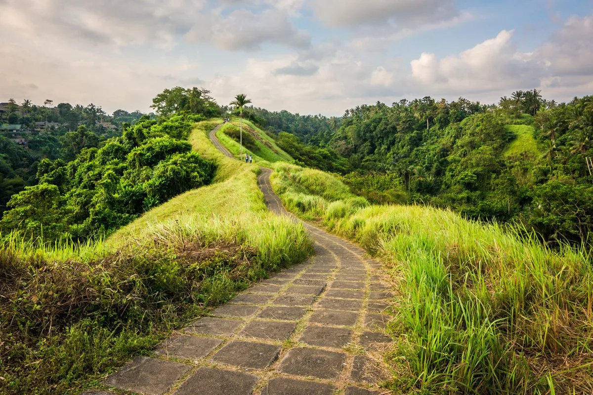 Campuhan Ridge Walk in Ubud, Bali