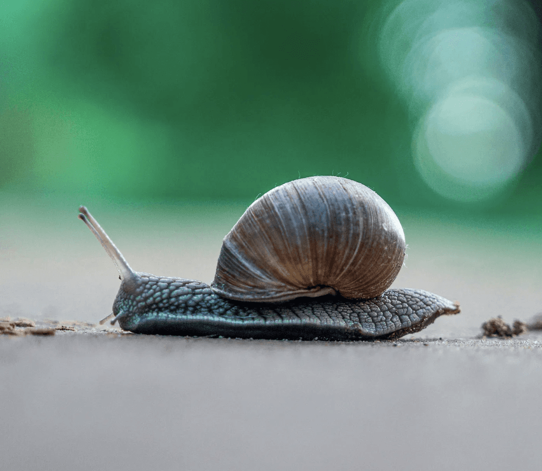 The pitfalls of building your own data platform
