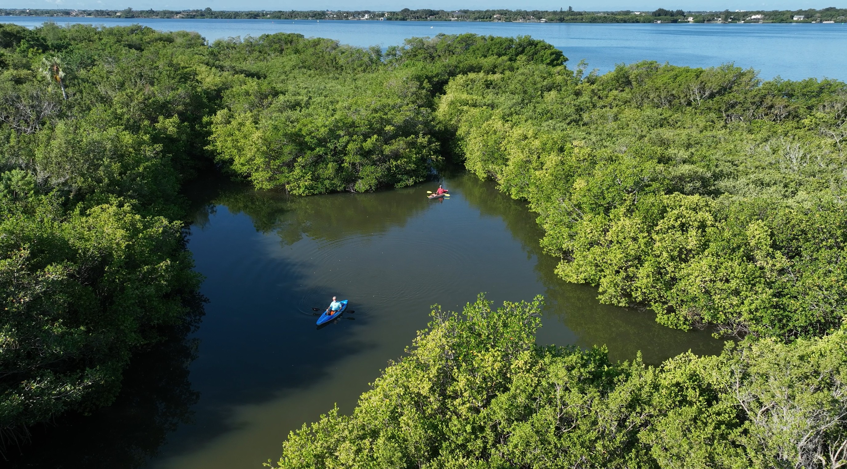 A smiling woman with her arms crossed, standing against a dark green background. She has long, dark hair.