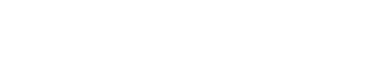 Meta Business Partner